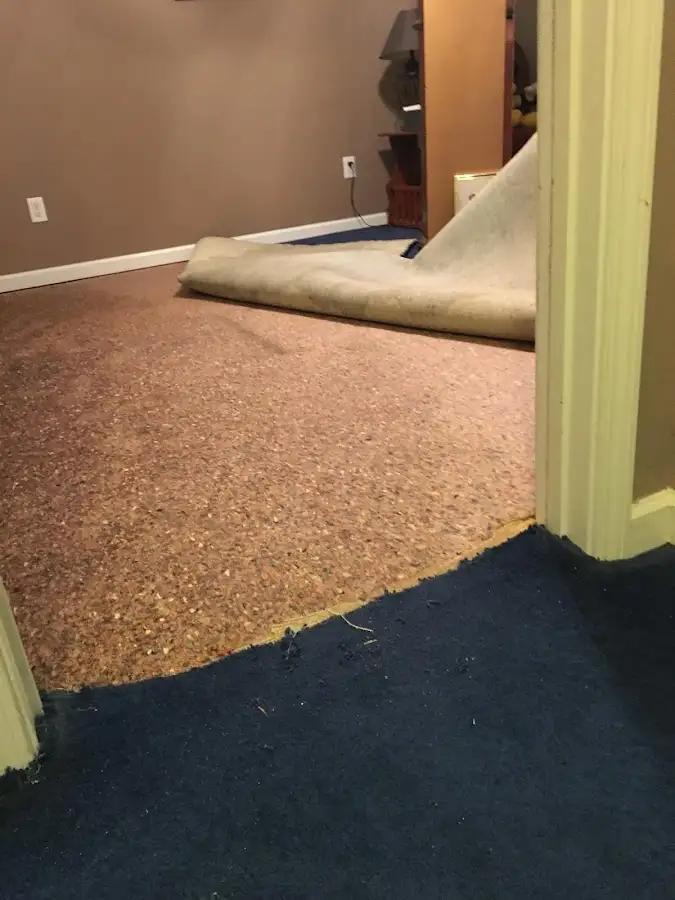 Carpet pad removal revealing water damage during Water Mitigation Services in Clayton