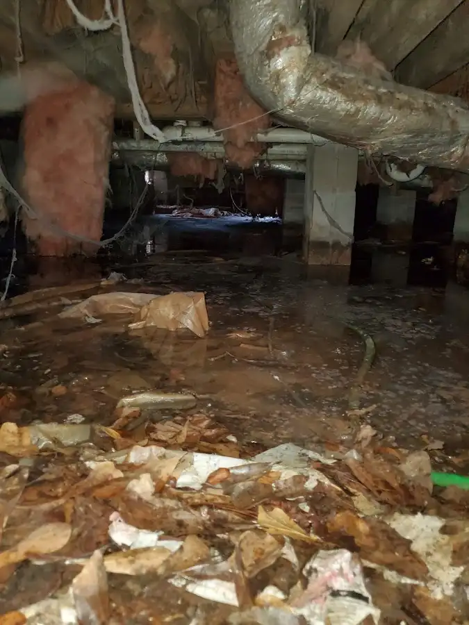 Crawl space flood assessment for Leak Detection & Repair in Clayton